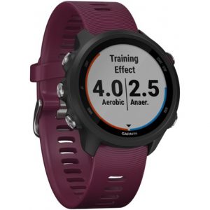 Garmin Forerunner 245, Forerunner 245 Music GPS-Enabled Smartwatches Launched in India