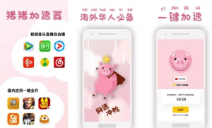 piggy vpn - Piggy VPN-Unblock China for pubg mobile - Telugu Tech World