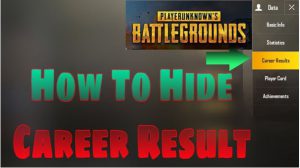 How To Hide Career Results In PUBG Mobile