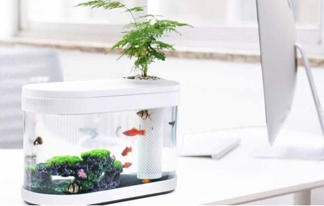 Xiaomi Fish Tank launched in China for around Rs 3,050