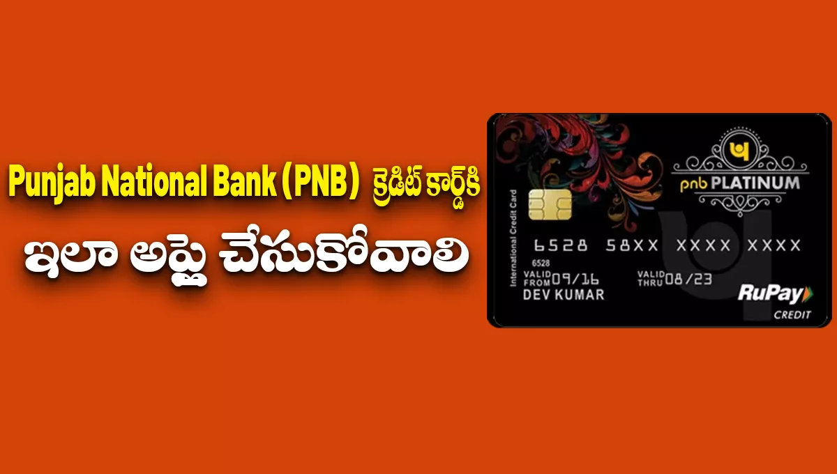 Punjab National Bank Credit Card Apply Online 2025