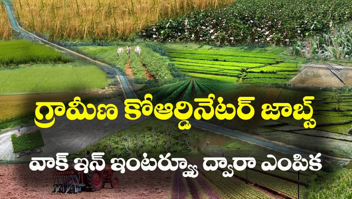 AgHub Recruitment 2025