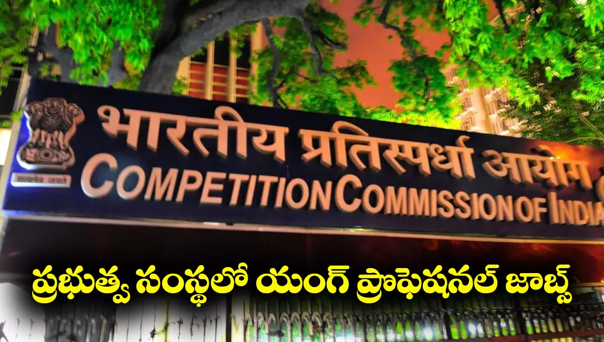 CCI Young Professionals Recruitment 2025