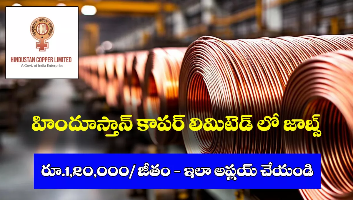 HCL Junior Manager Recruitment 2025