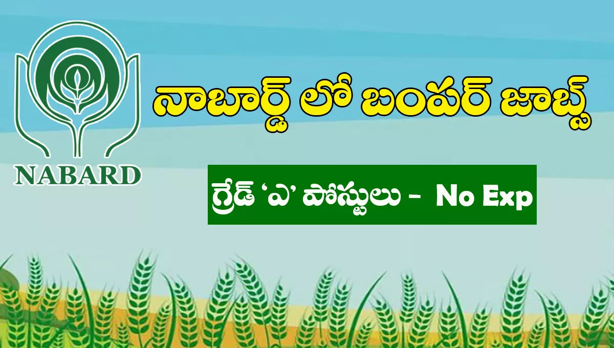 NABARD Recruitment 2025