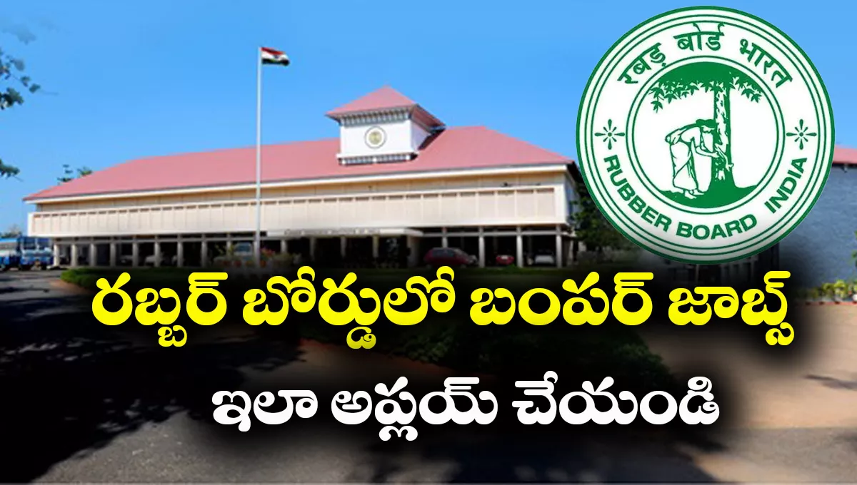 Rubber Board Recruitment 2025