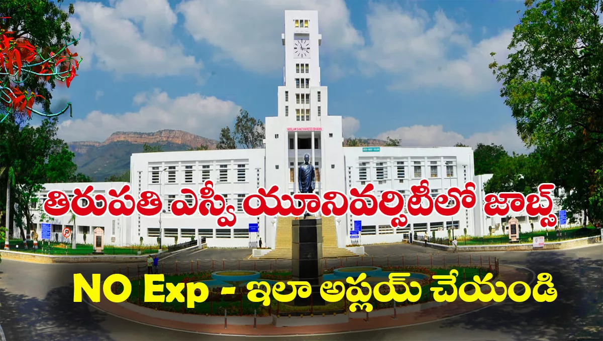 SVU Academic Consultants Recruitment 2025